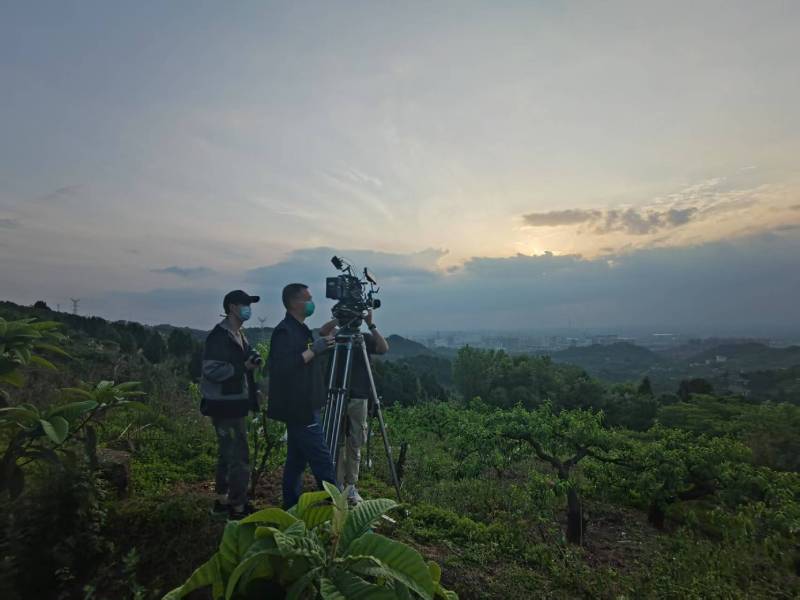 创意破圈！乐山电商产品宣传视频用故事化叙事引爆流量