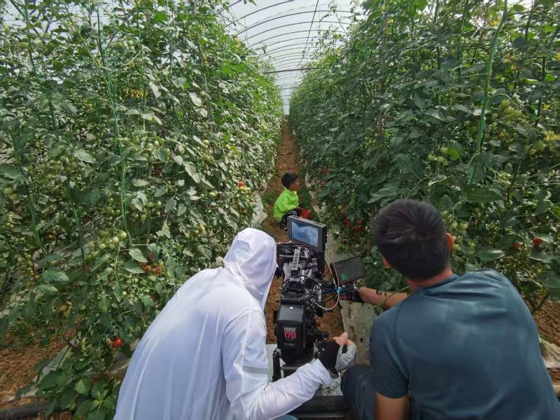 乐山产品宣传视频拍摄公司进阶指南，助力品牌抢占传播高地